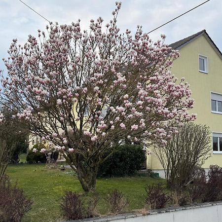 W&P Living Wohnung Mit Ausblick - Parkplatz Biberbach  Eksteriør billede